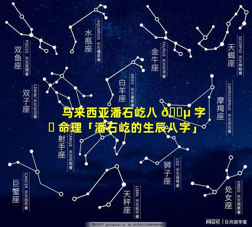 马来西亚潘石屹八 🌵 字 ☘ 命理「潘石屹的生辰八字」
